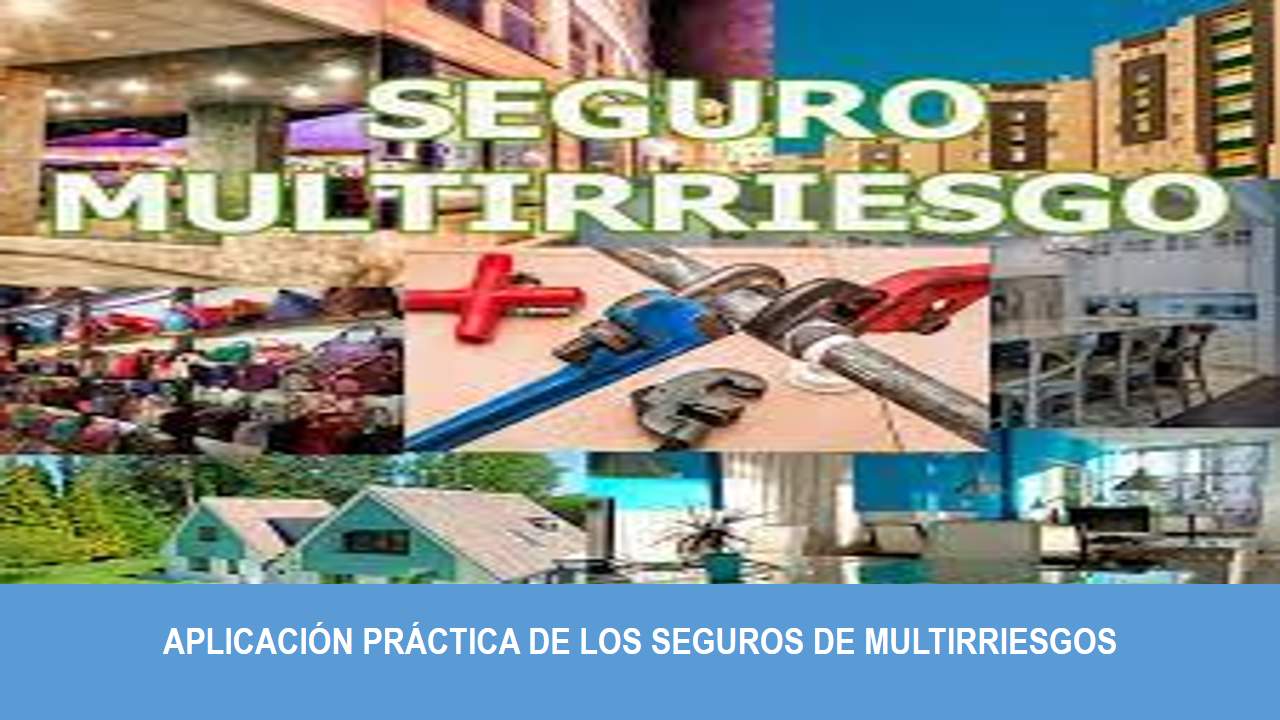 Curso de APLICACIÓN PRÁCTICA DE LOS SEGUROS DE MULTIRRIESGOS