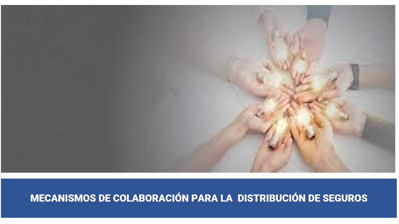 Curso de MECANISMOS DE COOPERACION PARA LA DISTRIBUCIÓN DE SEGUROS