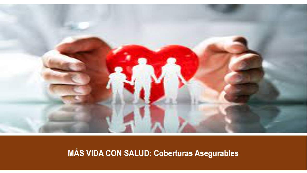 Curso de MÁS VIDA CON SALUD:  COBERTURAS ASEGURABLES