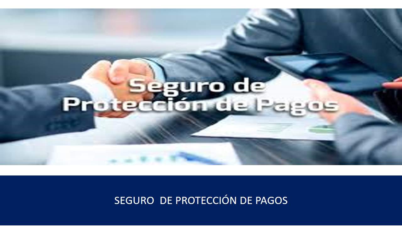 Curso de SEGURO  DE PROTECCIÓN DE PAGOS 