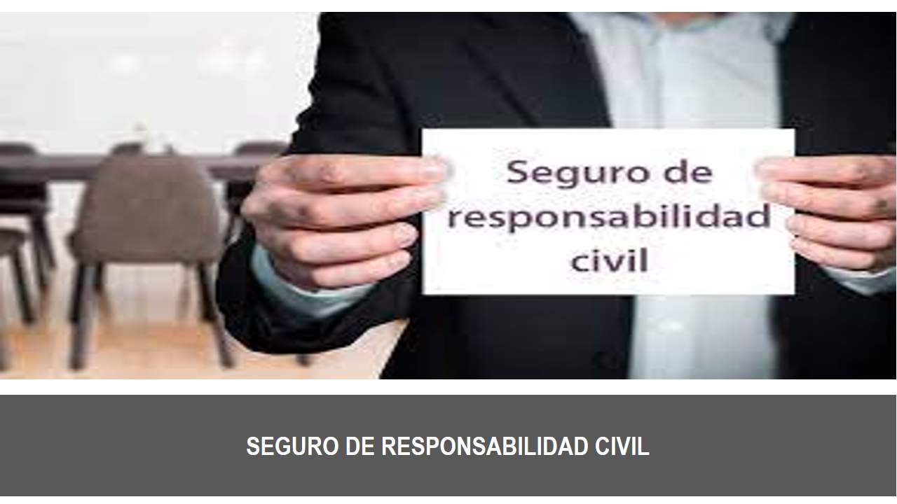 Curso de SEGURO DE RESPONSABILIDAD CIVIL