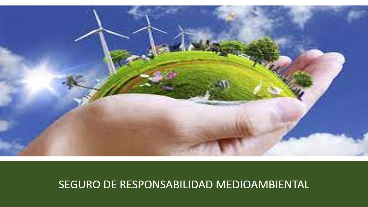 Curso de SEGURO DE RESPONSABILIDAD MEDIOAMBIENTAL