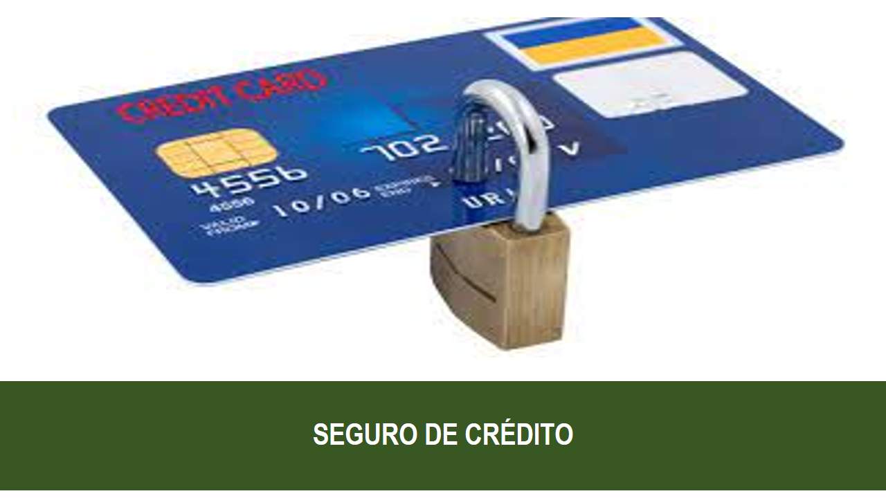 Curso de SEGURO DE CRÉDITO