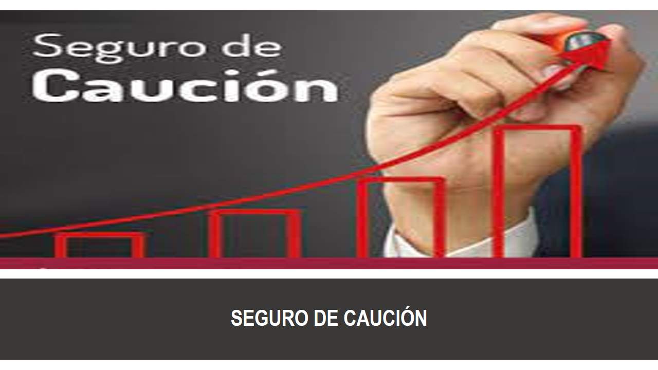 Curso de EL SEGURO DE CAUCIÓN EN ESPAÑA: Evolución y Tendencias