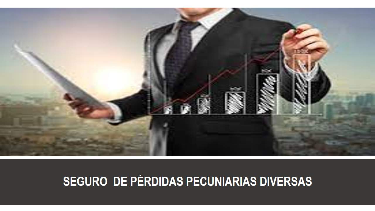 Curso de SEGURO  DE PÉRDIDAS PECUNIARIAS DIVERSAS