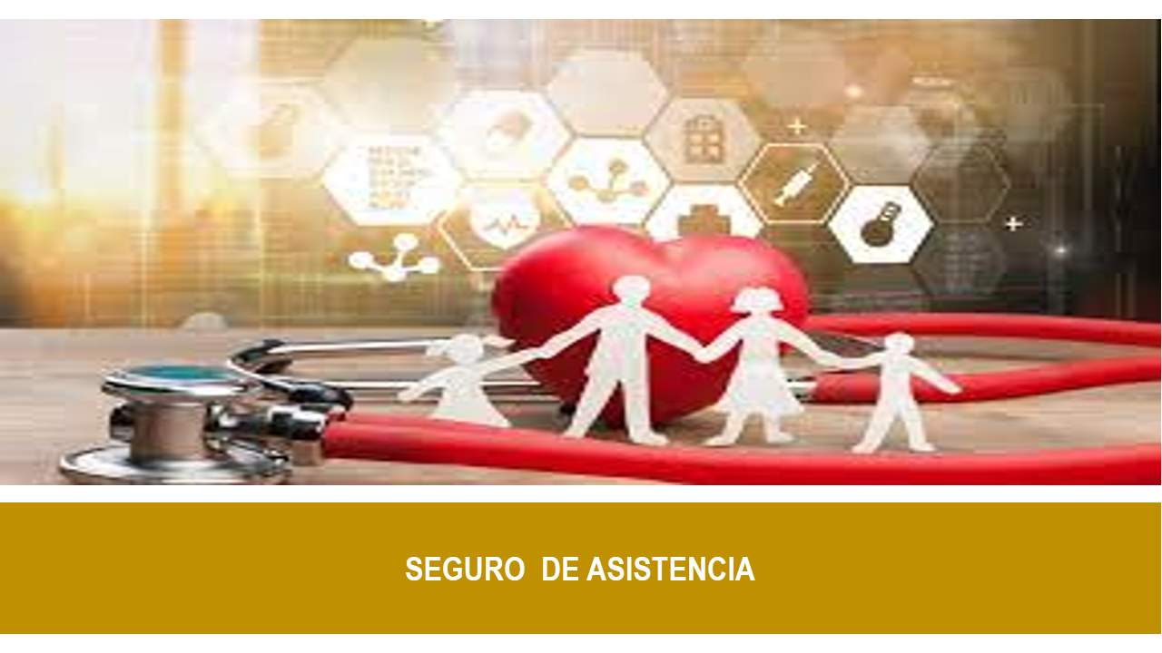 Curso de SEGURO  DE ASISTENCIA