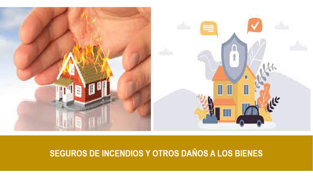 Curso de SEGUROS DE INCENDIOS Y OTROS DAÑOS A LOS BIENES