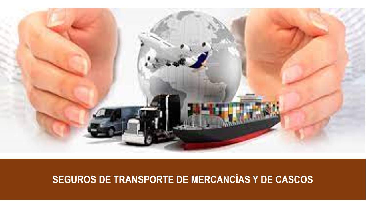 Curso de SEGUROS DE TRANSPORTE DE MERCANCÍAS Y DE CASCOS