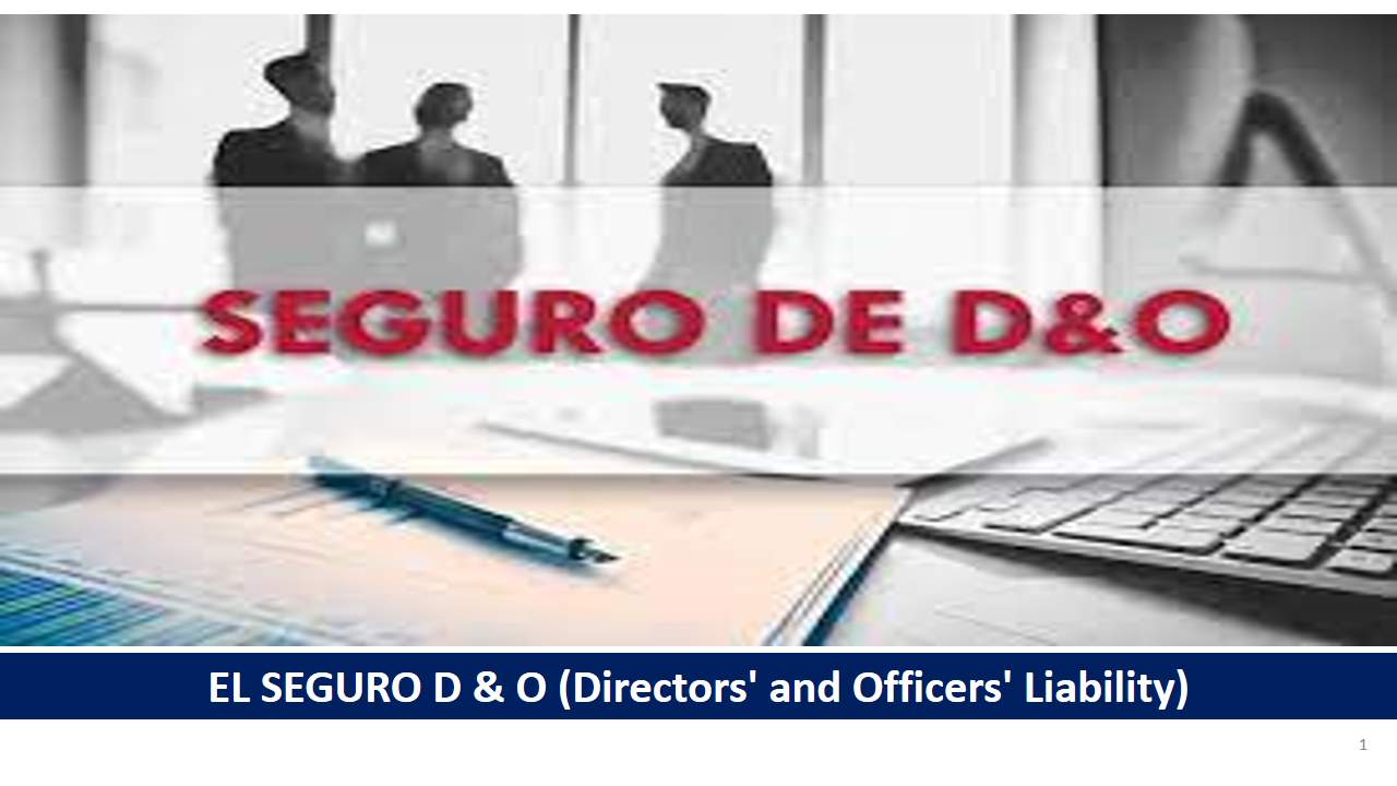 Curso de SEGURO D&O:  RESPONSABILIDAD CIVIL DE ADMINISTRADORES Y DIRECTIVOS