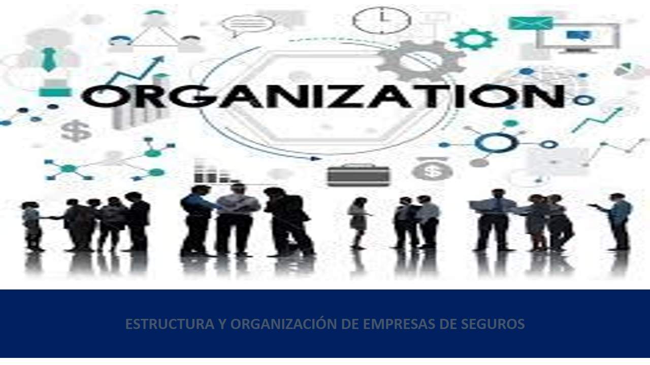 Curso de ESTRUCTURA Y ORGANIZACIÓN DE EMPRESAS DE SEGUROS