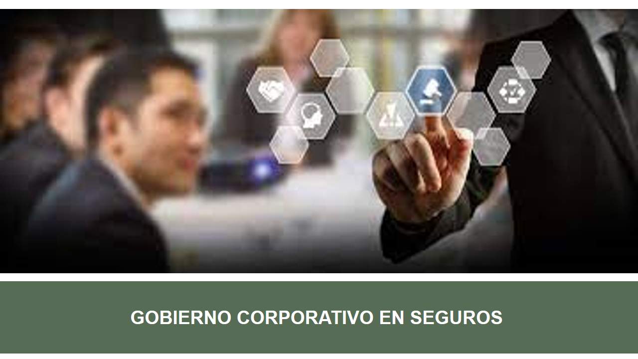 Curso de GOBIERNO CORPORATIVO EN SEGUROS