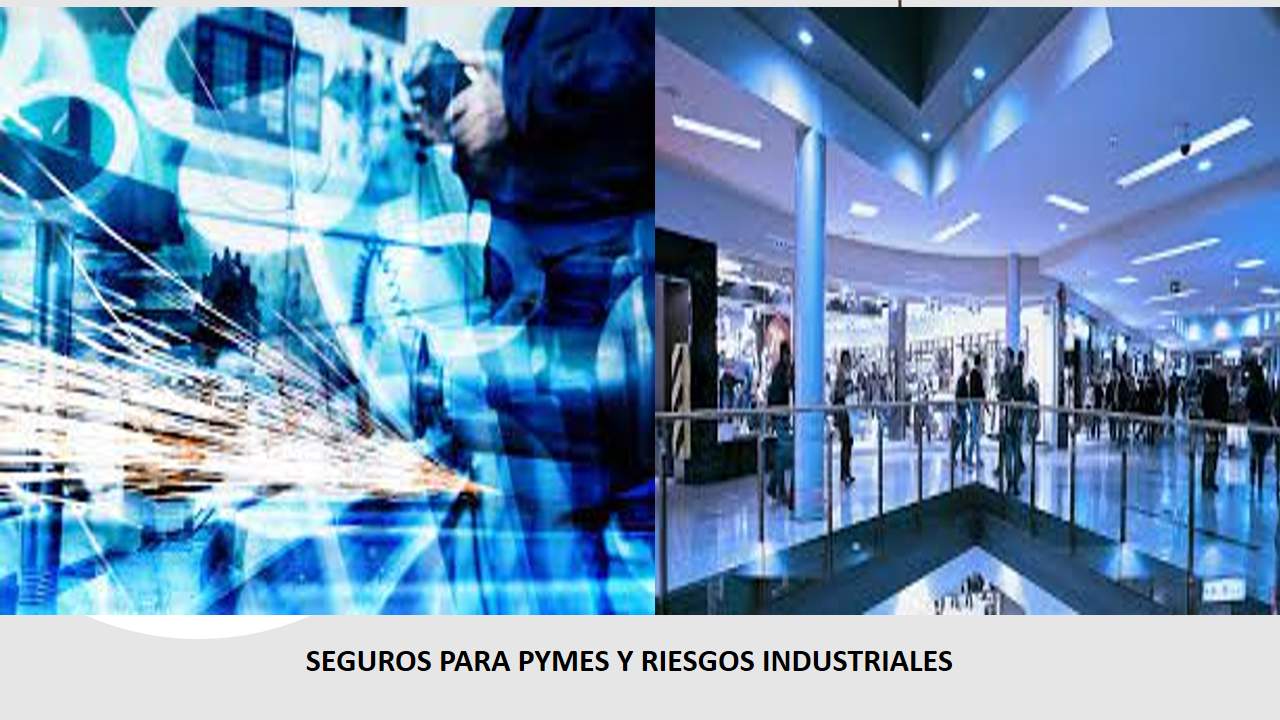 Curso de SEGUROS PARA PYMES Y RIESGOS INDUSTRIALES