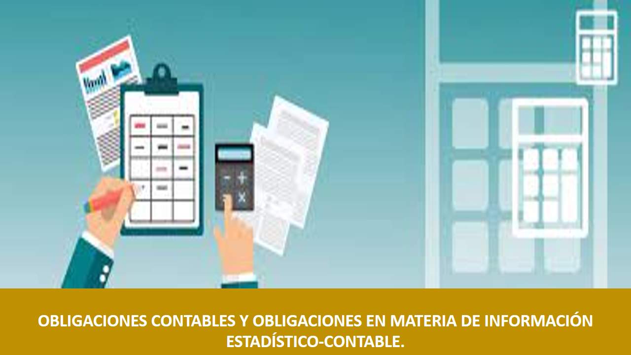 Curso de OBLIGACIONES CONTABLES Y OBLIGACIONES EN MATERIA DE INFORMACIÓN ESTADÍSTICO-CONTABLE.