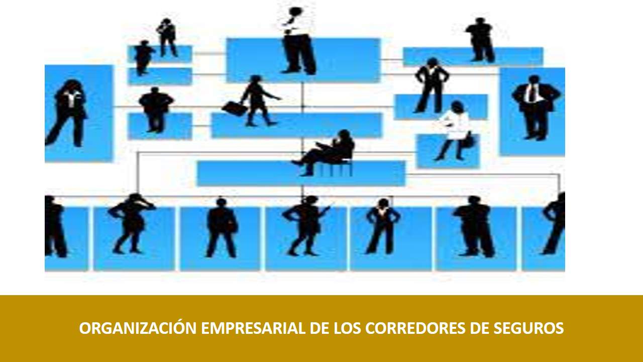 Curso de ORGANIZACIÓN EMPRESARIAL DE LOS CORREDORES DE SEGUROS: Colaboración con otros mediadores