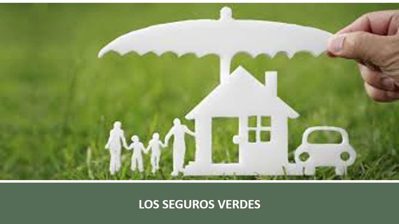Curso de LOS SEGUROS VERDES