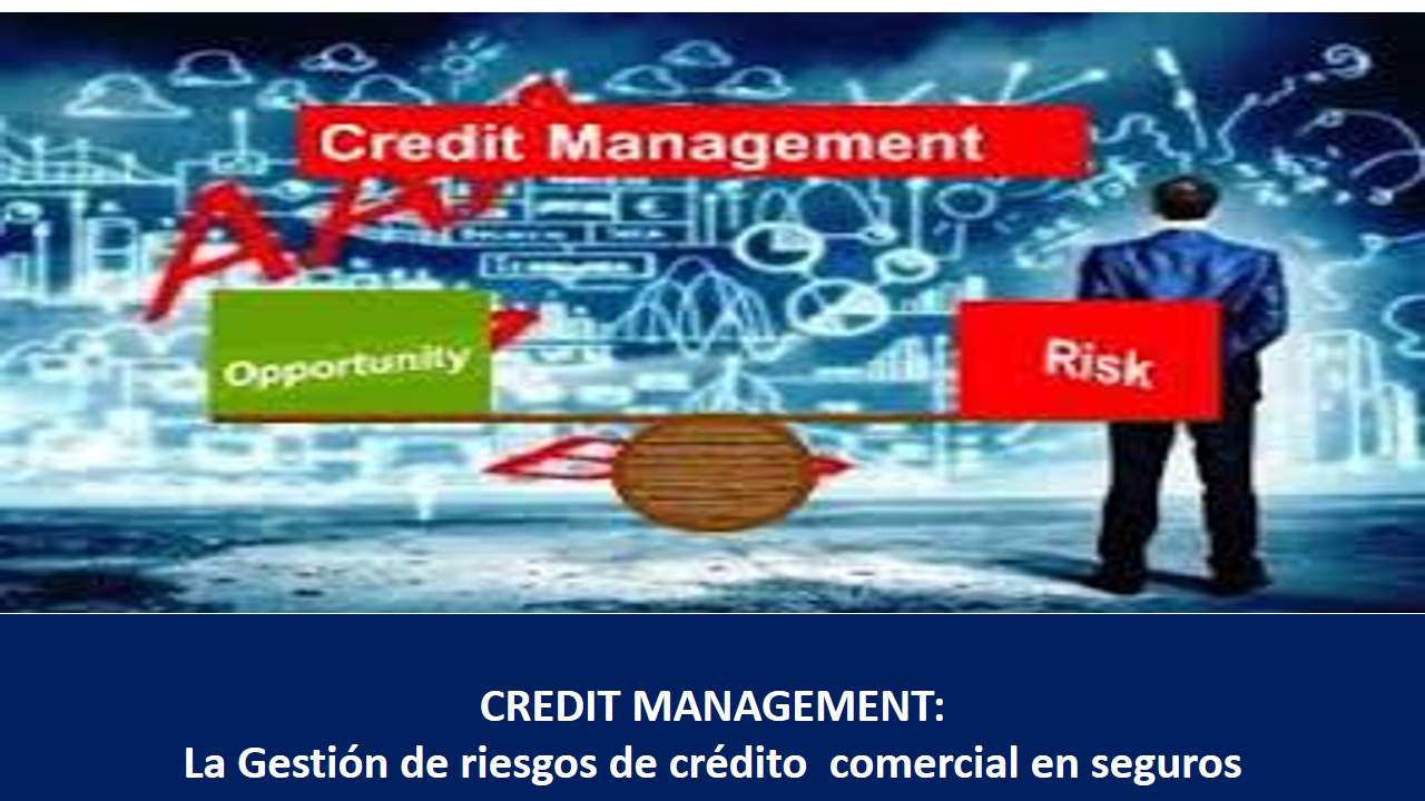 Curso de CREDIT MANAGEMENT: La Gestión de riesgos de crédito comercial en seguros