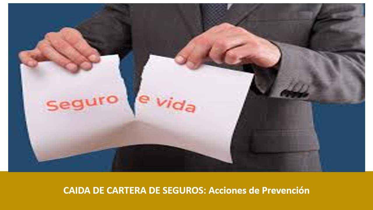 Curso de CAIDA DE CARTERA DE SEGUROS: Acciones de Prevención