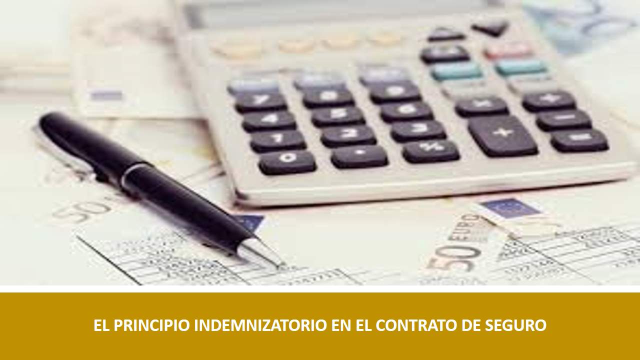 Curso de EL PRINCIPIO INDEMNIZATORIO EN EL CONTRATO DE SEGURO