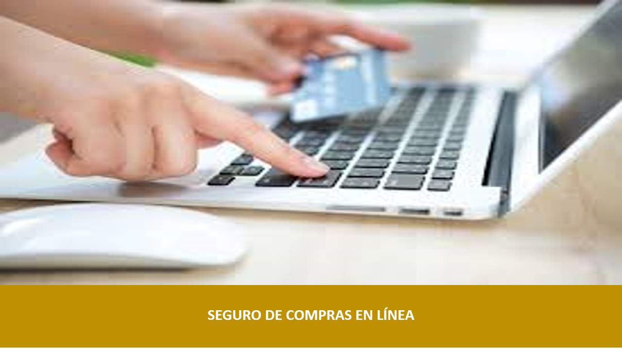 Curso de SEGURO DE COMPRAS EN LÍNEA