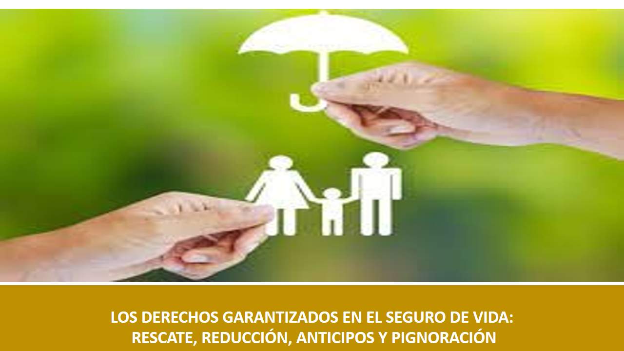 Curso de LOS DERECHOS GARANTIZADOS EN EL SEGURO DE VIDA: RESCATE, REDUCCIÓN, ANTICIPOS Y PIGNORACIÓN
