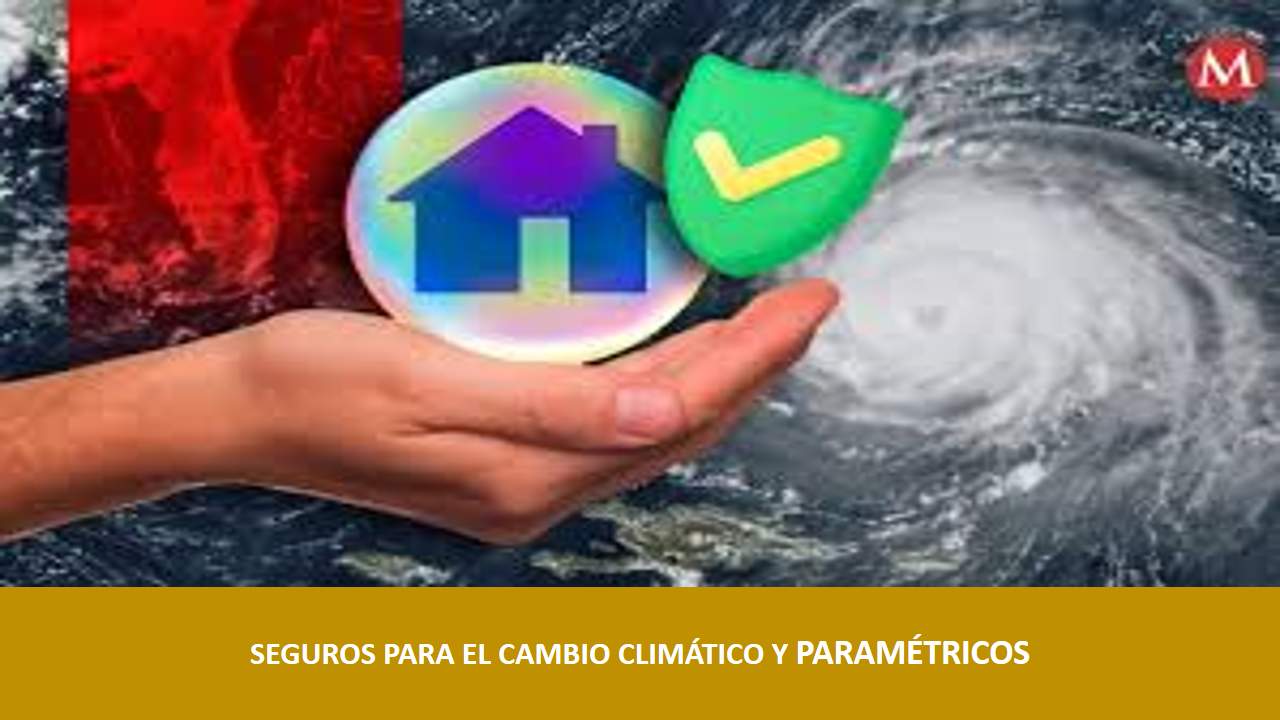 Curso de SEGUROS PARA EL CAMBIO CLIMATICO Y PARAMÉTRICOS